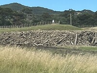 Hout lang de rivier