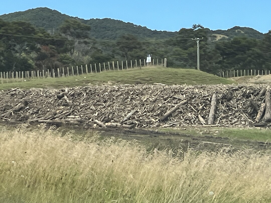 Hout lang de rivier