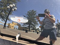 Napier 5