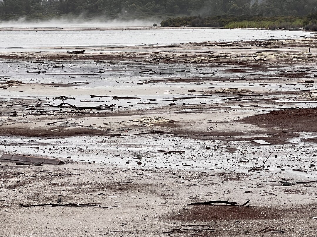 Sulphur Bay Rotorua