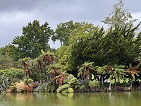 Park in Rotorua