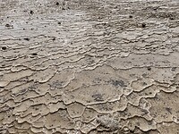 Veld van lava