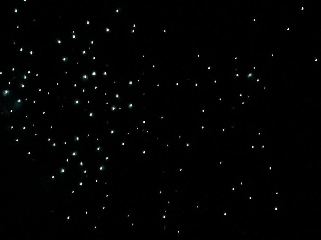 Glow wormen