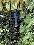 Ladders onderweg