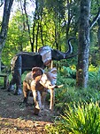 3d dieren in de tuin