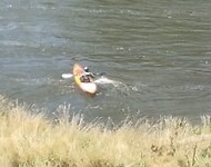 Olympisch kampioen in actie