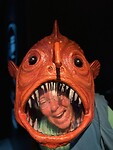 Bernamonster