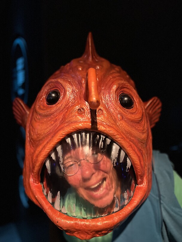 Bernamonster