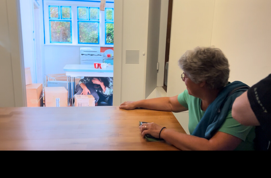 Berna in aardbeving simulatie