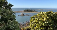 De baai bij Nelson