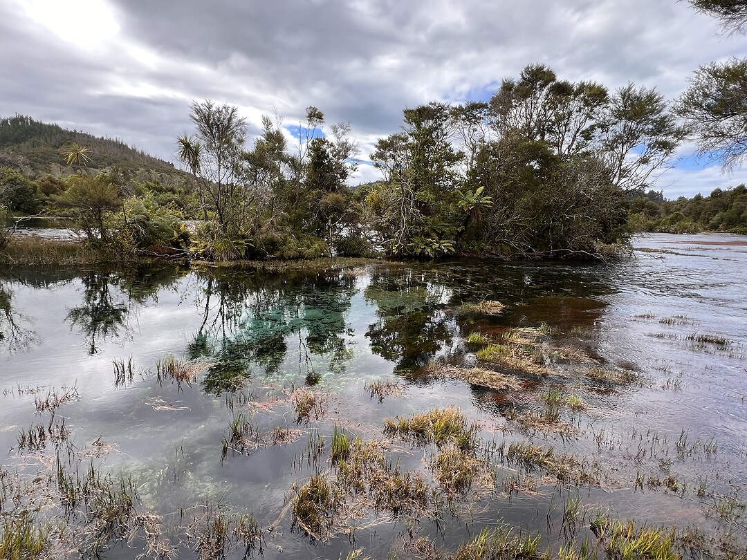 Waikoropupu Springs 1