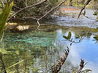 Waikoropupu Springs 2