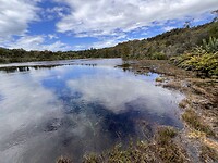 Waikoropupu Springs 3