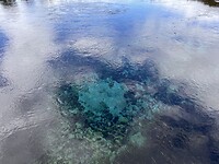 Waikoropupu Springs 4