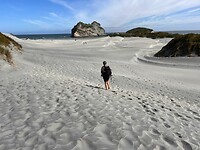 Duinen