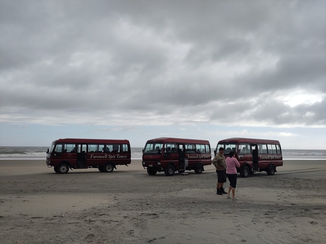 De bussen van Farewell Spit Tours