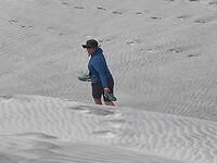 Berna op de zandduinen