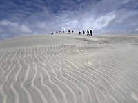 Zandduinen