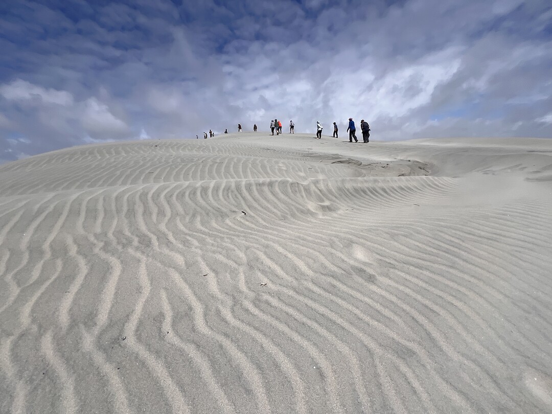 Zandduinen