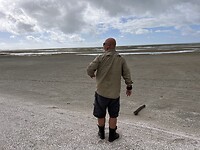 Onze gids, Paradijsvogeleend op real Dutch armyboots