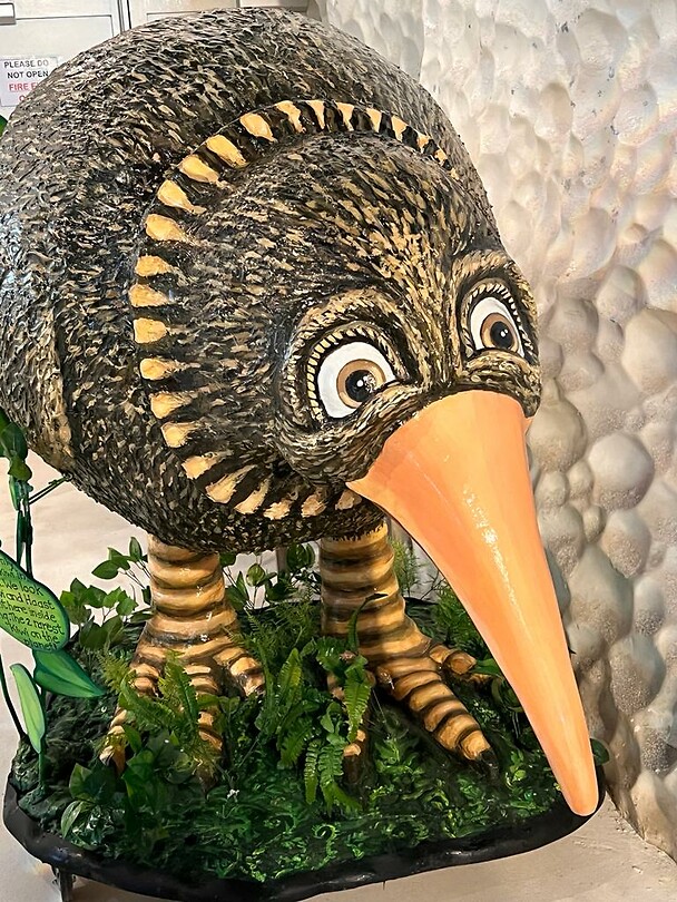 Kiwi