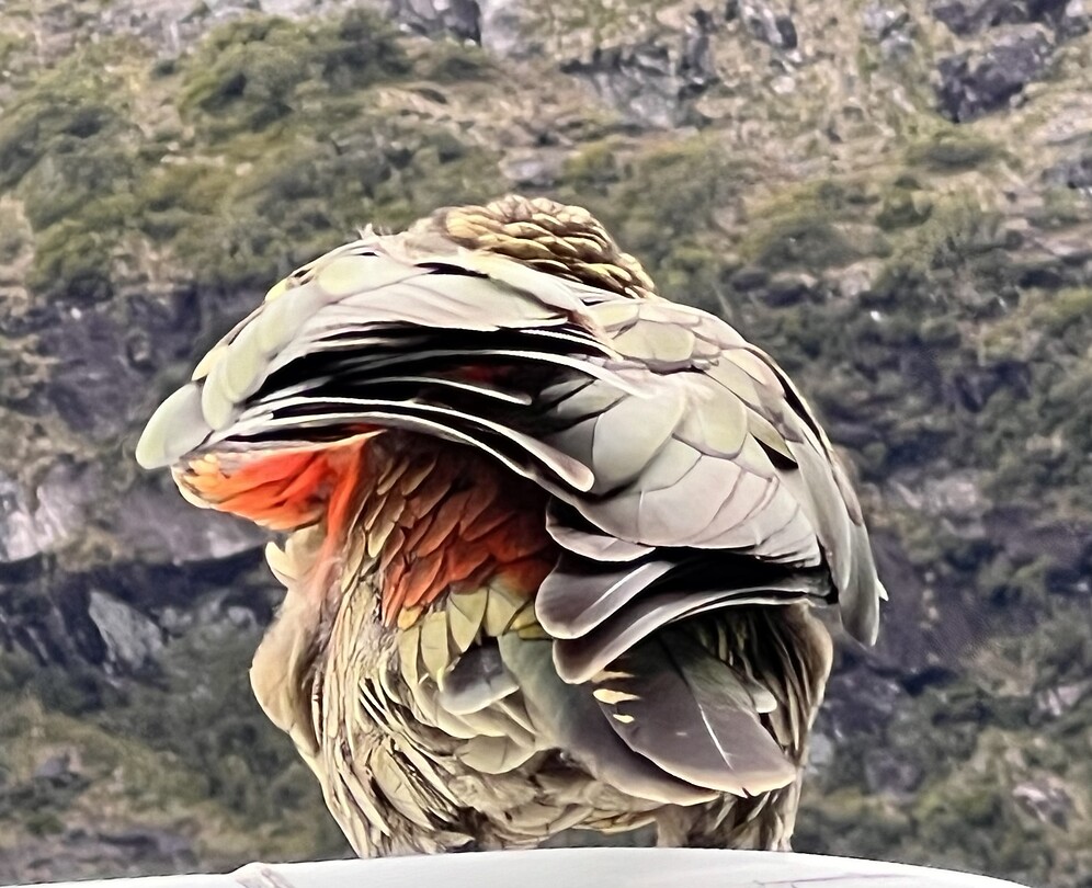 Kea 2