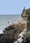 Penguins voordat ze in de show verschijnen