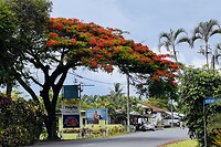 Muri beach