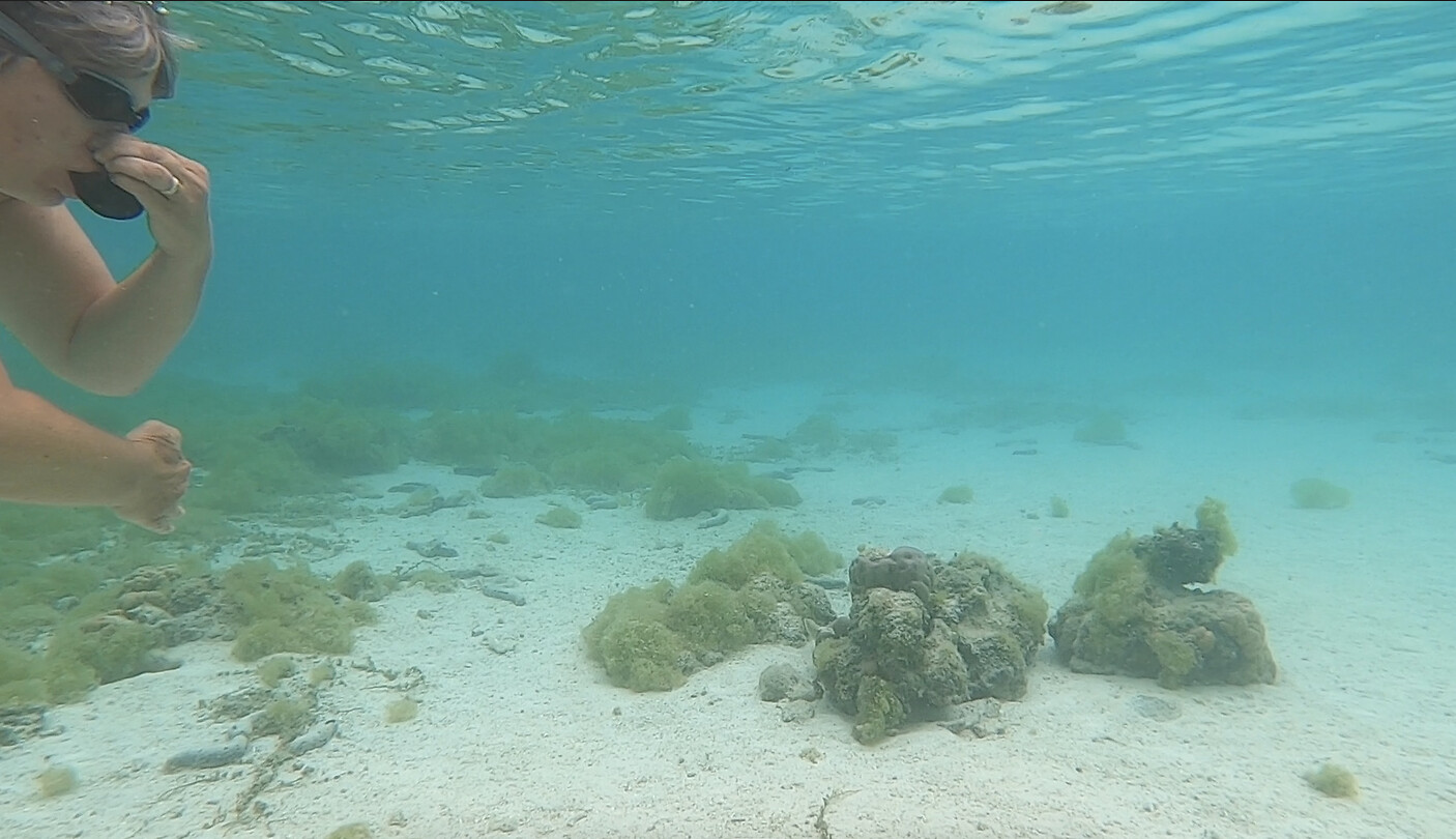 berna snorkelt 1