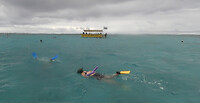 arien snorkelt