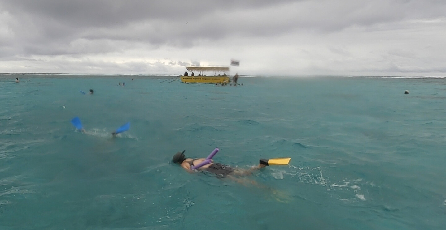 arien snorkelt