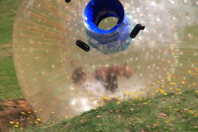 zorb4