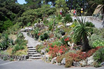 botanicgarden