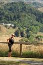 linytoscane