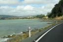 opwenaarweely2