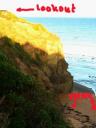 lookoutnaarpinguin
