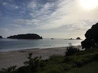 Hahei beach