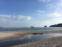 Hahei beach (2)
