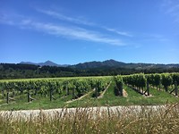 Wairau valley