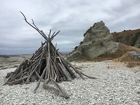 Wrakhout