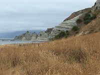 Punt schiereiland Kaikoura