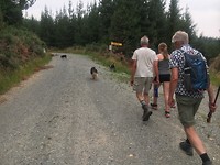 De bergen in met de 🐕