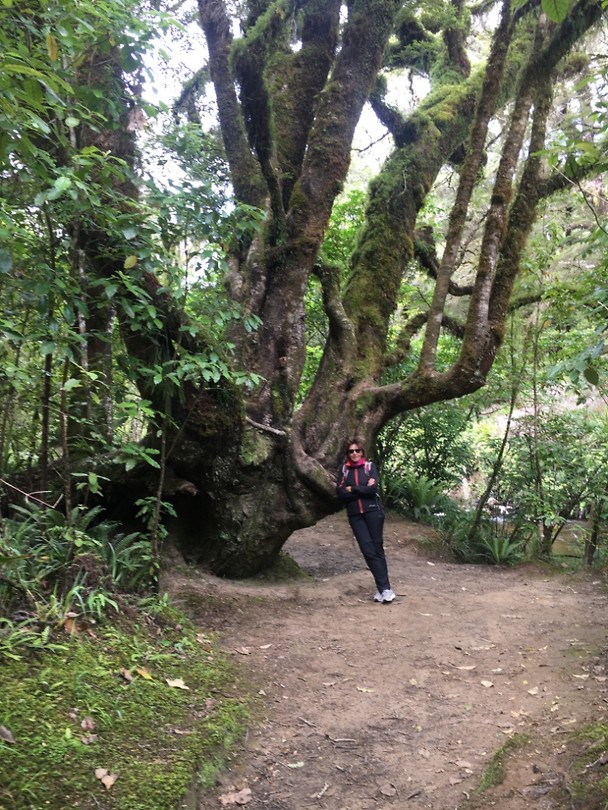 Runanga
