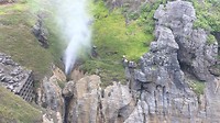 Blowhole
