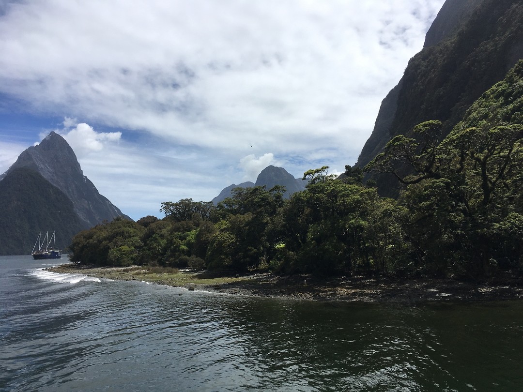 Milford Sound