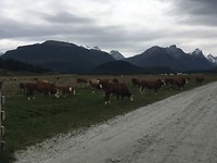 Paradise Road