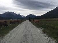 Paradise Road