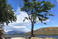 Lake Hayes