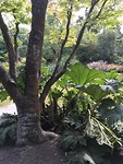 Hagley park