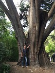 Hagley park